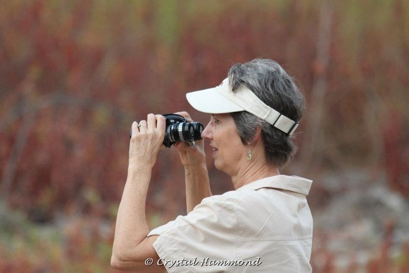Cathy Shoop.jpg